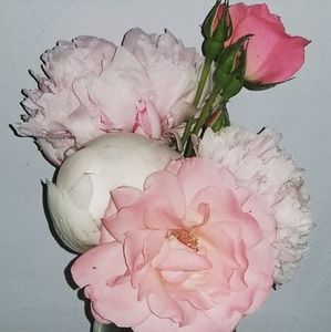 Meet your Posher, Tynetta